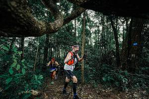 BIB: 
                            <button type="button" onclick="openModal(25390984)" class="btn btn-primary btn-sm float-right btn-popup" data-toggle="modal" data-target=".modal-high-quality">
                        <i class="fas fa-shopping-cart"></i> Add to Cart
                    </button>
                                            <button type="button" onclick="isThisMe(25390984, true)" class="btn btn-success btn-sm float-right btn-popup btn-isme hidden" data-toggle="tooltip" data-placement="bottom" title="นี่คือรูปของคุณใช่ไหม คลิกที่นี่เพื่อเอาเข้าอัลบั้ม">
                        <i class="fas fa-plus"></i> Add to album
                    </button>
                    <button type="button" onclick="isThisMe(25390984, false)" class="btn btn-warning btn-sm float-right btn-popup btn-isnotme hidden">
                        <i class="fas fa-ban"></i> Remove from album
                    </button>